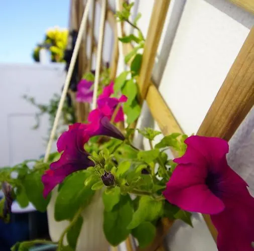 ホステル Sea Soul